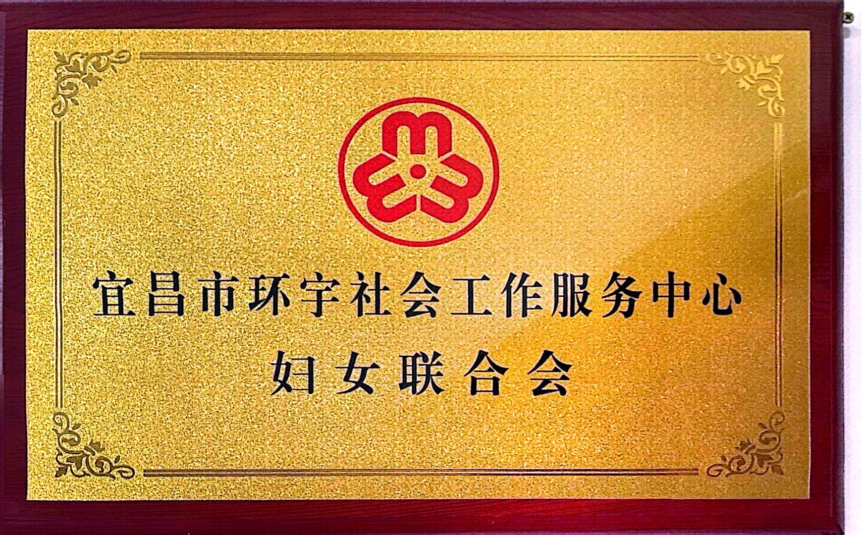宜昌市环宇社会工作服务中心妇女联合会