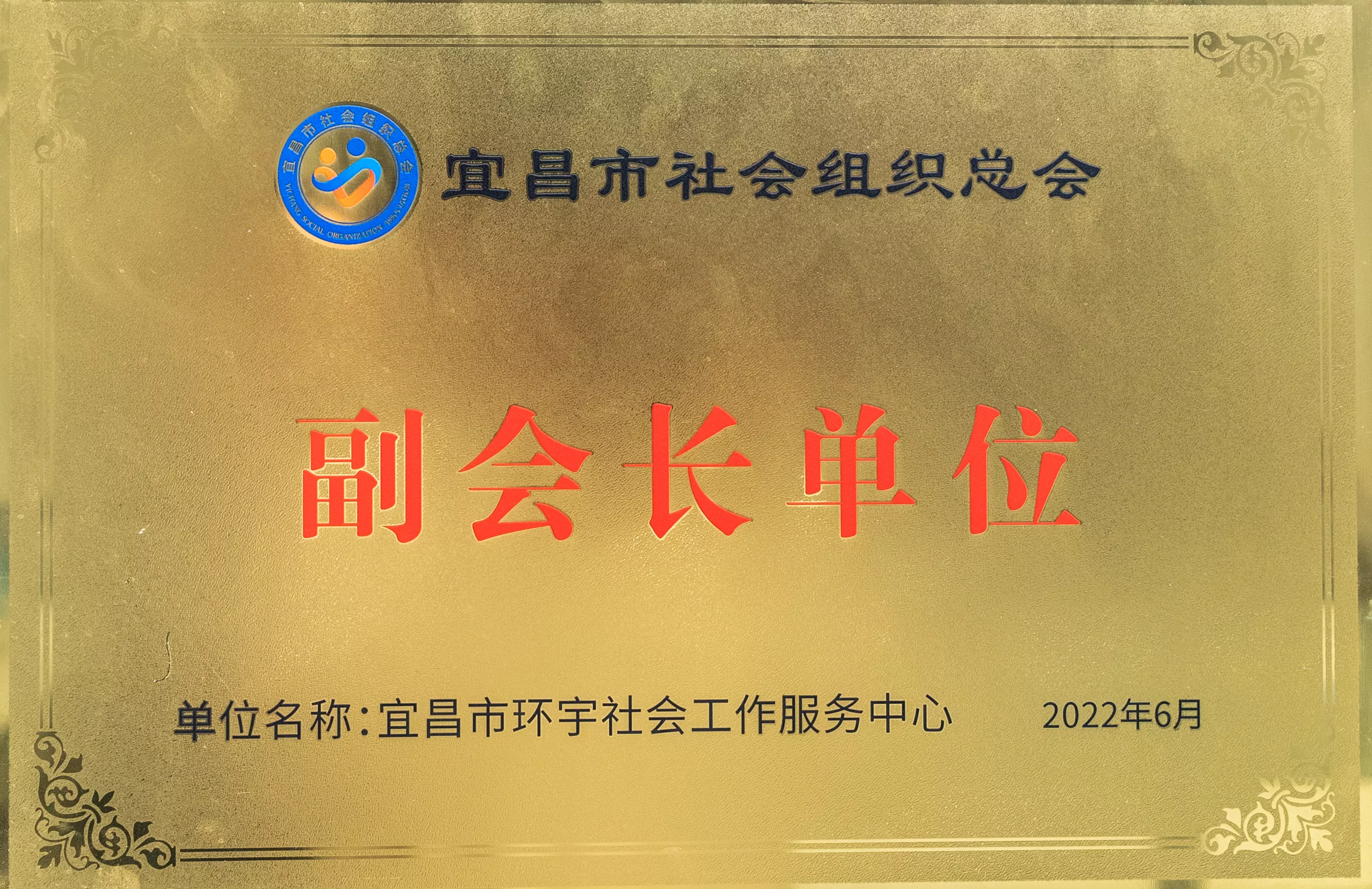 宜昌市社会组织总会副会长单位