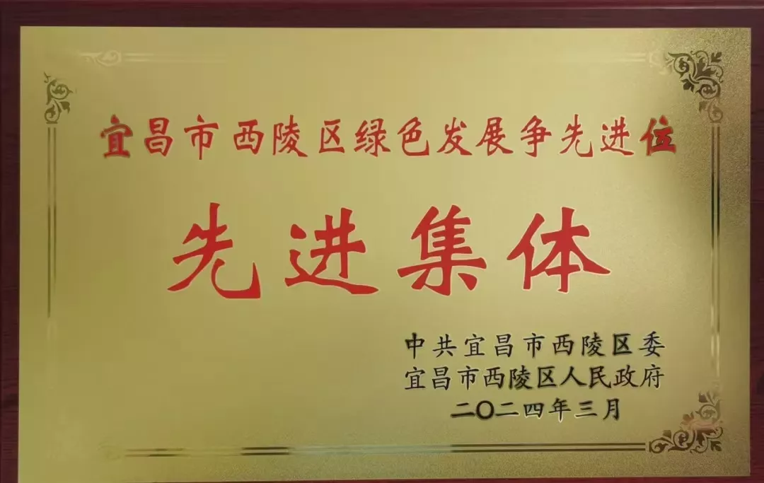 宜昌市西陵区绿色发展争先进位先进集体